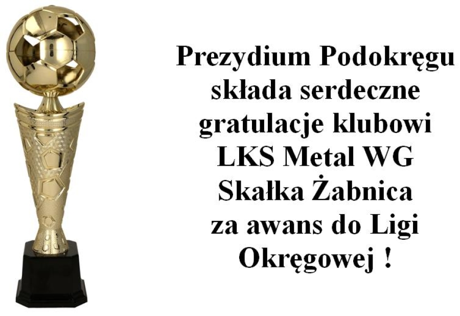 LKS Metal WG Skałka Żabnica