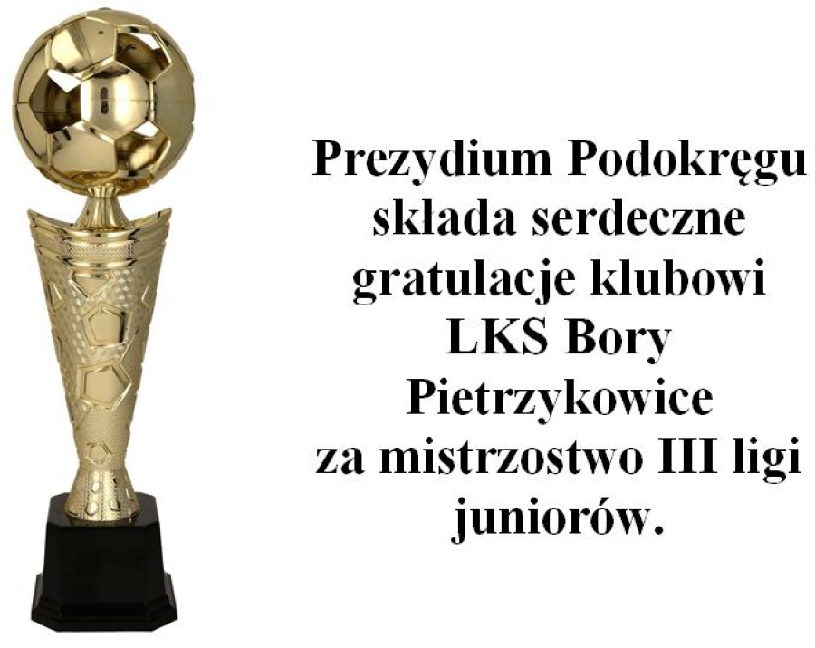 LKS Bory Pietrzykowice